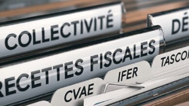 fiscales