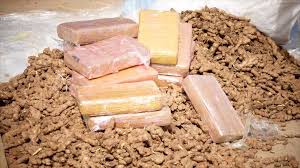 Sénégal : saisie de 40,3 Kg de cocaïne à l'aéroport AIBD 1 images 5