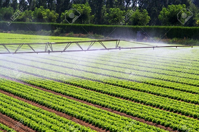 Extension du programme d’économie d’eau en irrigation : objectif de 1 million ha d’ici 2030 1 irrigation