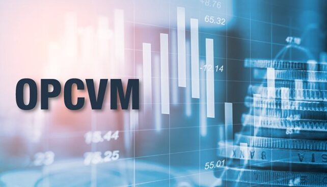 OPCVM : l’actif net dépasse 625 MMDH au 26 juillet (AMMC) 1 63b421067d0c6 Capture decran 2023 01 03 a 13.35.03 1