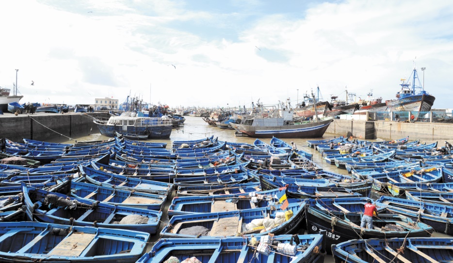Ports situés sur la Méditerranée: Baisse de 13% des débarquements de pêche à fin juillet 1 PORTS