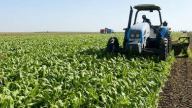 agriculture 1280x720 1