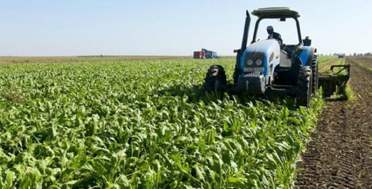 Province de Settat: Lancement et suivi de plusieurs projets de développement agricole et rural 1 agriculture 1280x720 1