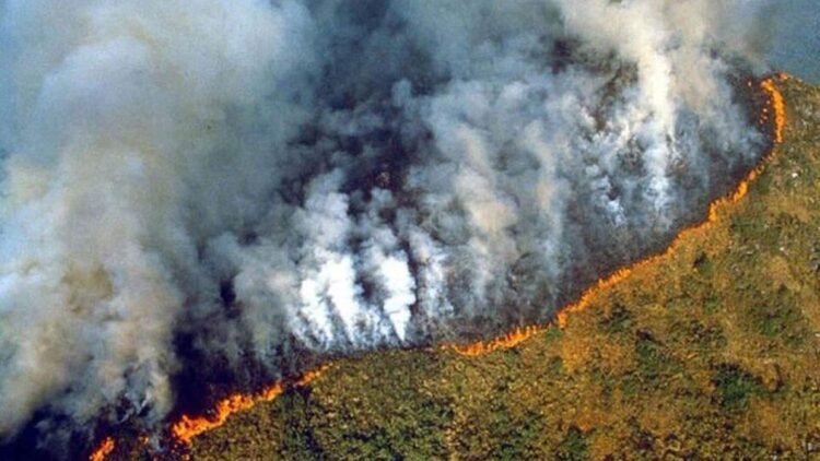Brésil: l’État de Sao Paulo en alerte incendie maximale 1 incendie 2