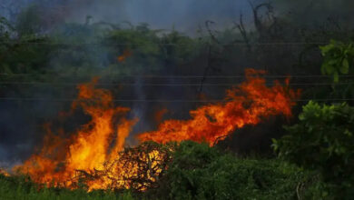 incendies 1