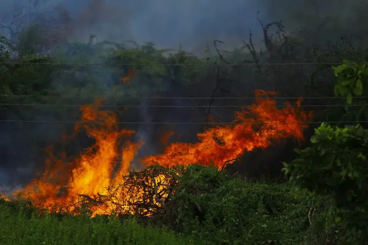 Saison des incendies de forêt: L’UE déploie son dispositif 1 incendies 1