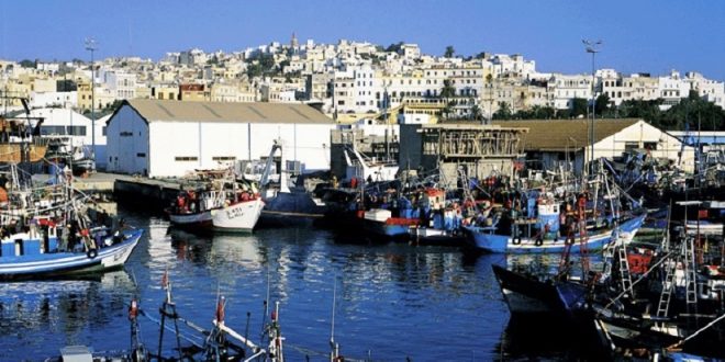 Port de Tanger: Les débarquements de pêche reculent de 29% à fin juillet 1 port
