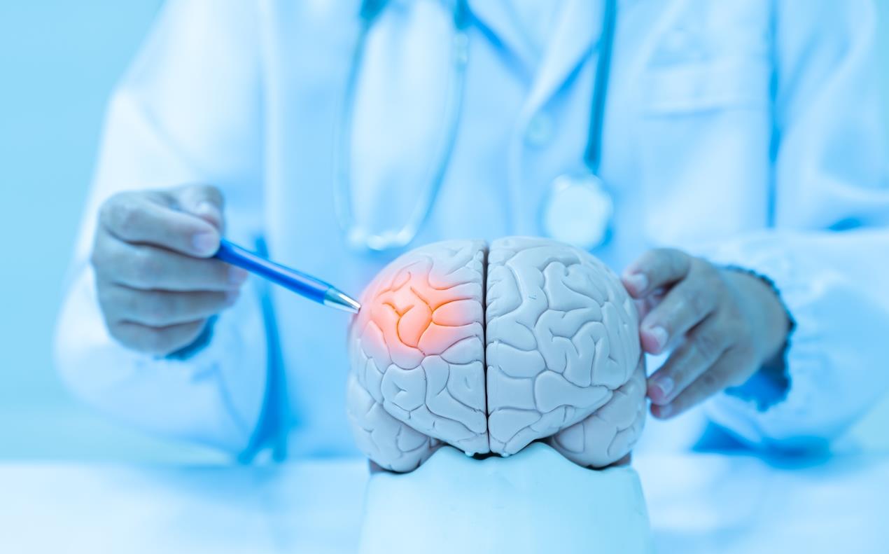 Cancer du cerveau : Des scientifiques annoncent un traitement novateur contre le glioblastome 1 vis 0803202422365616