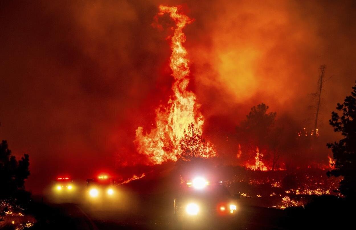 Californie : Plus de 170 milles hectares de forêts ravagés par les incendies 1 vis 0810202417243893
