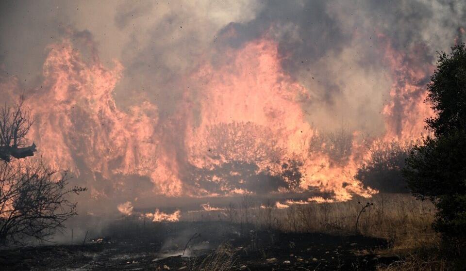 Incendies en Grèce : ordres d'évacuation de plusieurs localités près d'Athènes 1 vis 0812202411120271