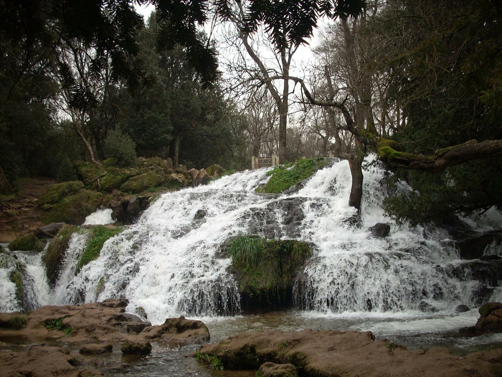 Ifrane : Le parc Ain Vittel dévoile son nouveau visage aux visiteurs 1 vis 0816202411522186