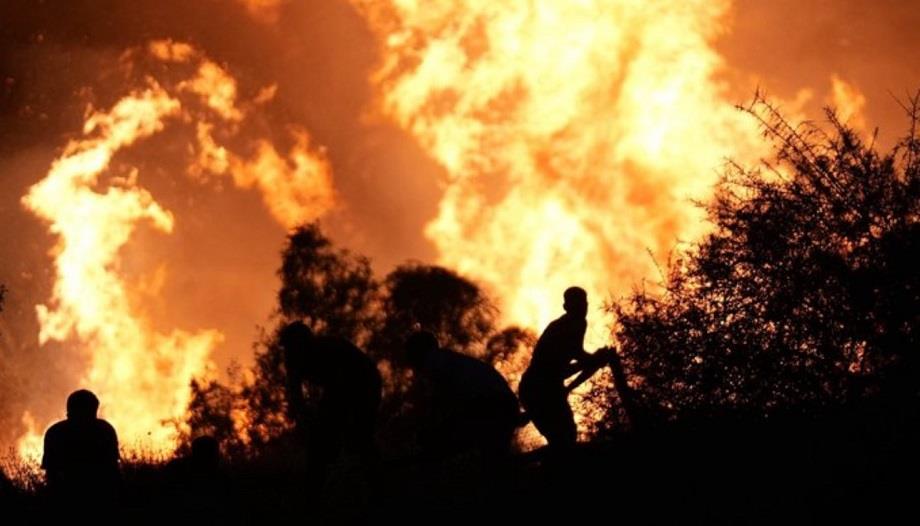 Incendie de forêt en Turquie : Izmir toujours en proie aux flammes 1 vis 0817202417040715