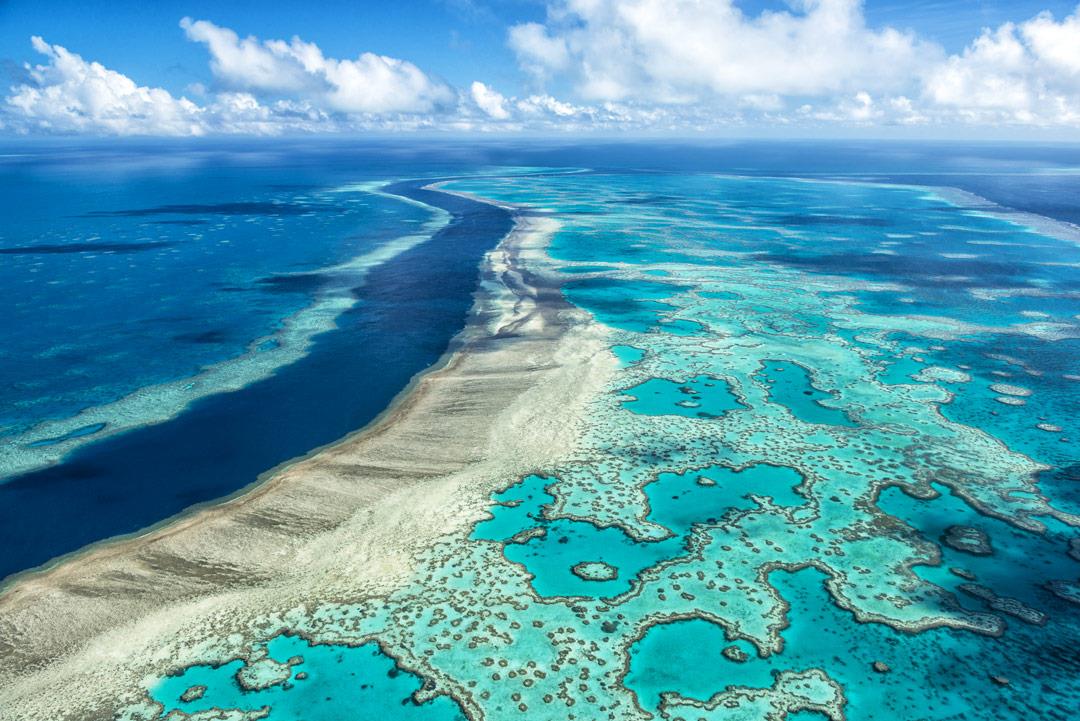Australie : un nouveau plan pour protéger la Grande Barrière de corail 1 vis 0823202409415558