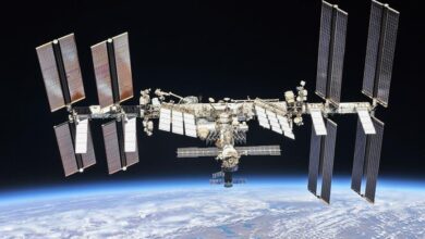 vis 1223202311142283