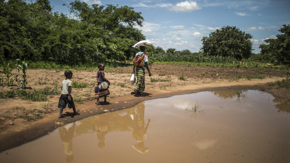 L’Afrique subit le changement climatique « de manière disproportionnée » (OMM) 1 000 1OV7SK