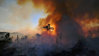 1444x920 incendie bresil aout 2020