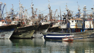 Peche