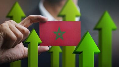 croissance 1