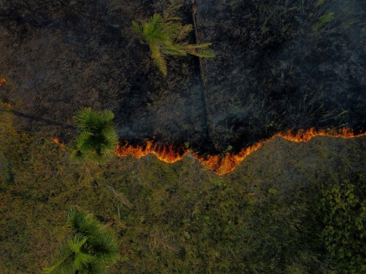 Brésil : 1.736 foyers d'incendie actifs en 24 heures, dont 48 % en Amazonie 1 vis 0701202423082155
