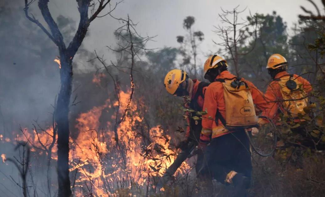 Les flammes dévastent le parc national de Brasilia 1 vis 0916202416402333