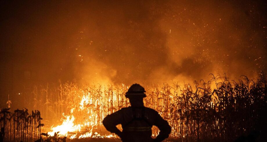 Le Portugal lutte contre de violents feux de forêt 1 vis 0918202417191487