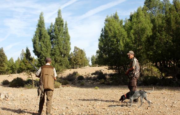 Nouvelle saison de chasse : L'ANEF intensifie son dispositif de contrôle pour lutter contre le braconnage. 1 vis 0922202421354365