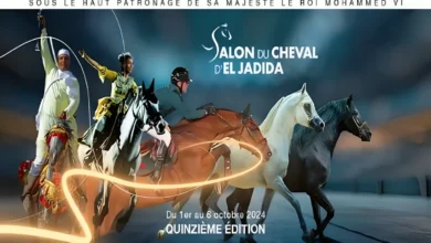 Horse Show