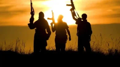 Terrorisme 2 1024x767 1