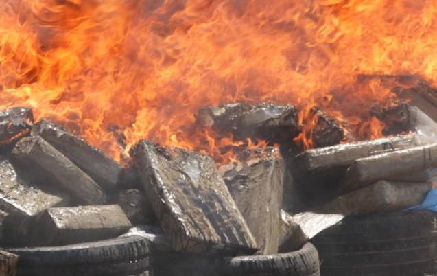 Destruction de drogues à Safi : Lutte contre le trafic de substances illicites 1 destruction drogue