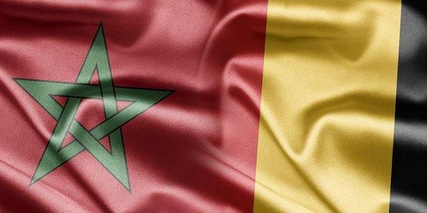 La Belgique réaffirme son soutien au partenariat stratégique entre l'UE et le Maroc 1 telechargement 3