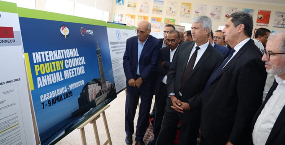 Rencontre sur le secteur avicole au Maroc : Des mesures pour la durabilité et l'amélioration de la production 1 vis 1005202410340729