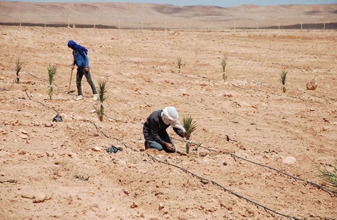 Ouverture de la COP16 à Riyad : Le Maroc Partage Son Expertise en Lutte Contre la Désertification 1 84623765 60409922