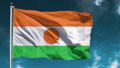 Niger RFI BBC