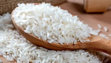 Riz