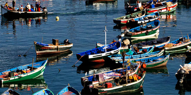 Pêche Côtière et Artisanale à Tan-Tan : Chute de 46% des Quantités Débarquées à Fin Novembre 2024 1 port de tan tan