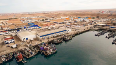 vis 0104202516300984