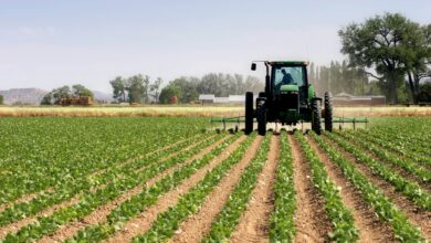 Agriculture Durable au Maroc 1 e1736867978226