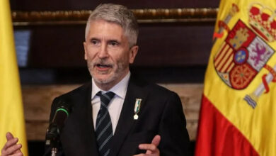 Fernando Grande Marlaska 3