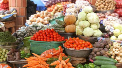 Securite alimentaire legumes