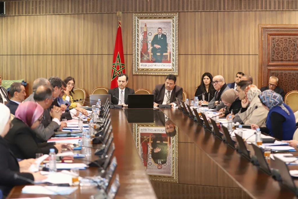 Adoption du projet de loi sur le droit de grève par la Commission de l'enseignement et des affaires culturelles et sociales 1 Sekkouri greve 1024x683 1