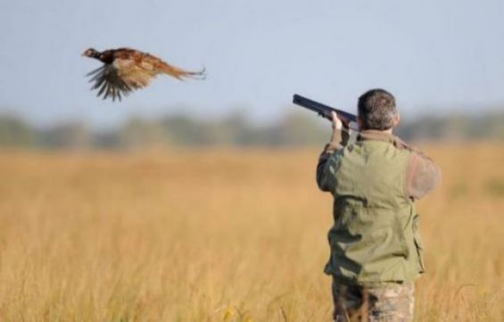 Le Conseil Supérieur de la Chasse tient sa session ordinaire : vers une gestion durable et modernisée du secteur 1 BXrWy0OjqzDeBTl3P2vO5PWG8ParKP9tquX2yF6e
