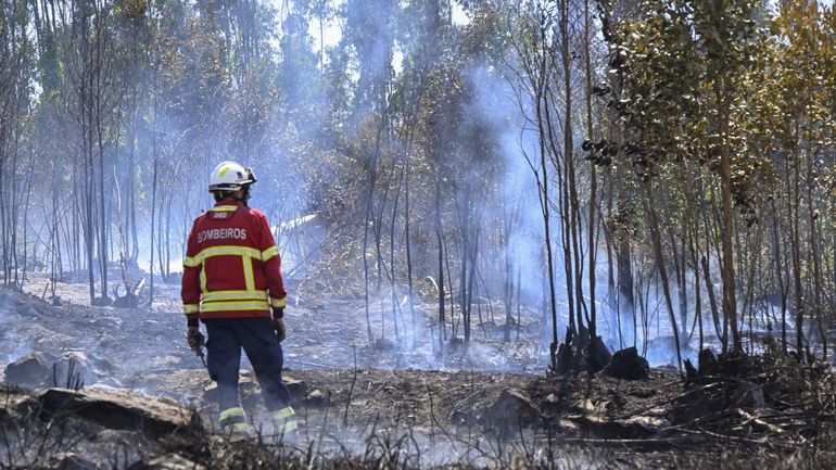 Incendies meurtriers et canicule accablante frappent la péninsule Ibérique 1 c8cfede6ce1c2d52051f23c0ad0d6d1a 1754332197