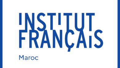 Novembre Numérique : le Maroc célèbre l’art digital 24 Institut francais du Maroc