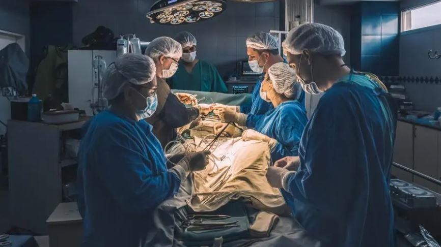 vis 0116202610343464