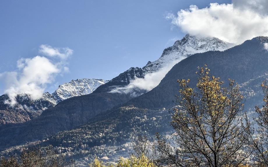 vis 0201202515134882