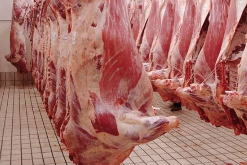 Carcasses de viande rouge suspendues dans un abattoir au Maroc illustrant l’évolution des prix et l’approvisionnement du marché