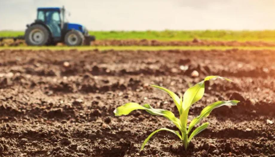 vis 0226202622145936