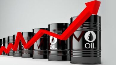 vis 0302202600031131