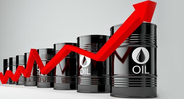 vis 0302202600031131