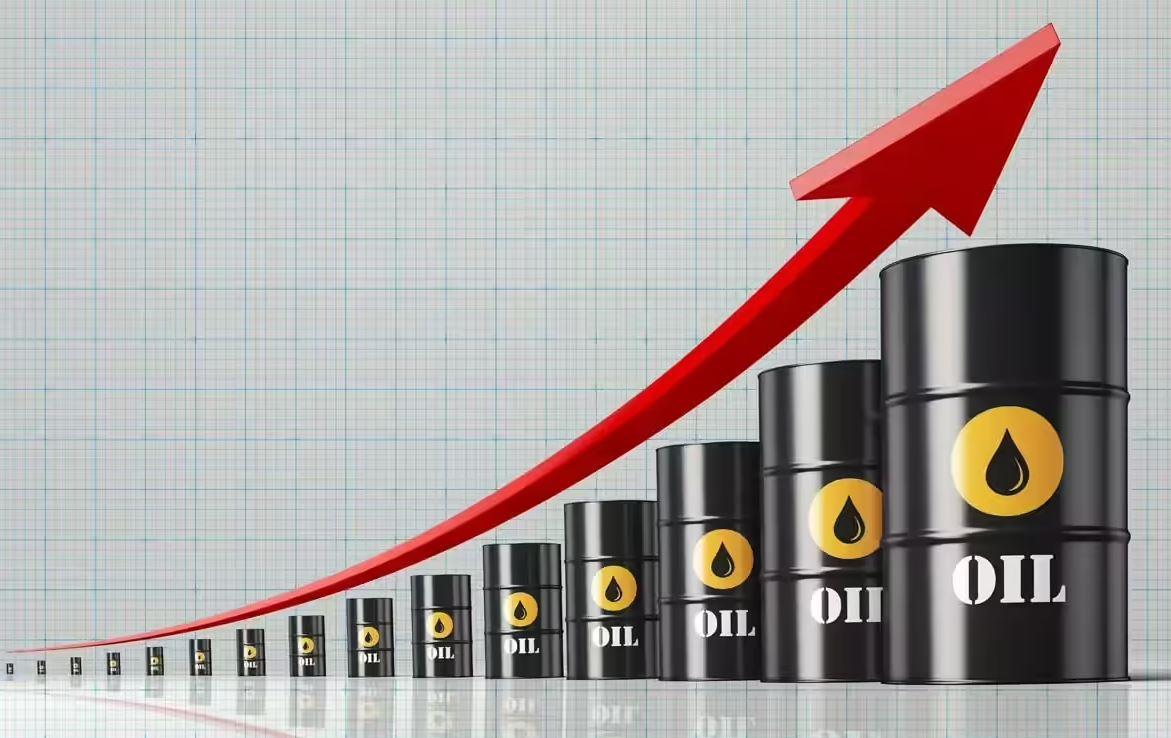 vis 0316202610211527